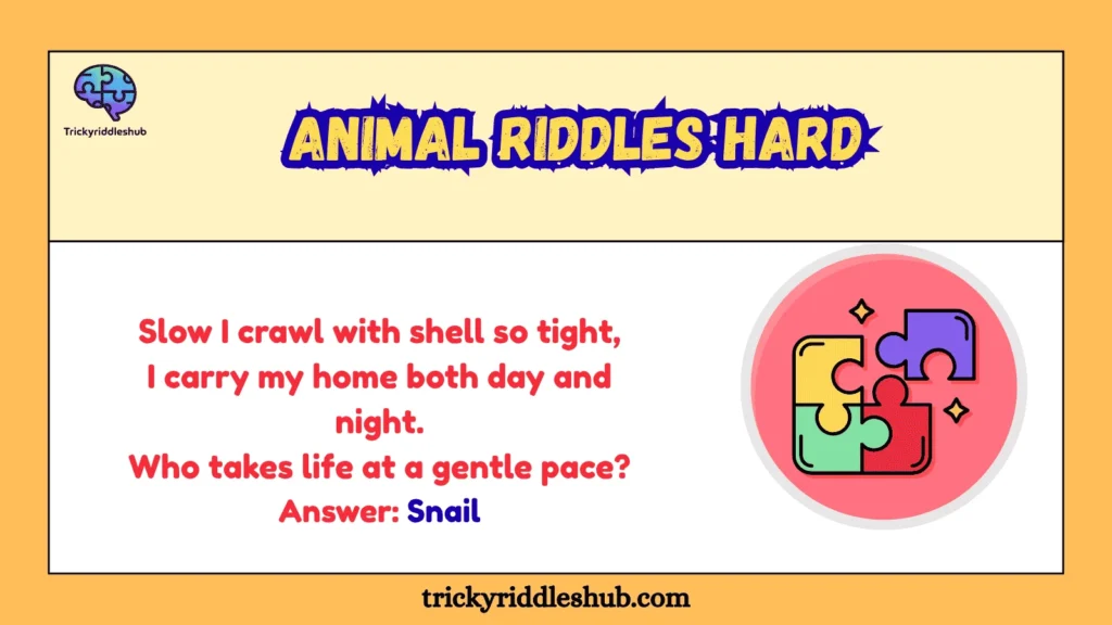 Animal Riddles Hard
