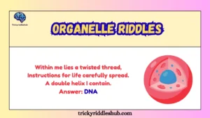 Organelle Riddles