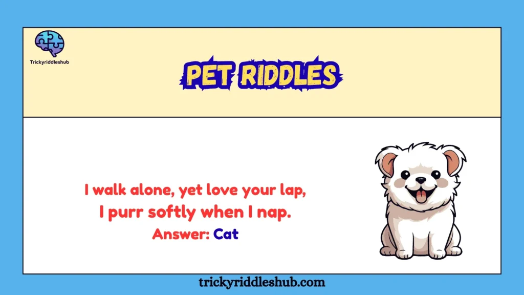 Pet Riddles