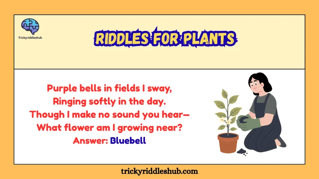 Riddles for Plants