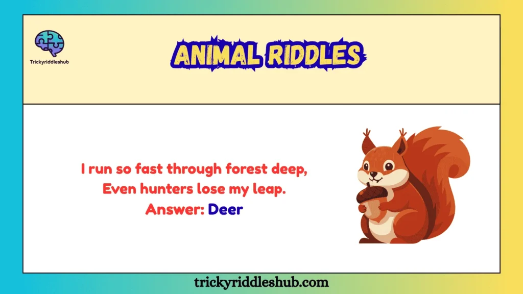 Animal Riddles