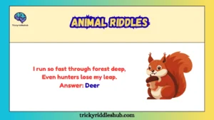 Animal Riddles