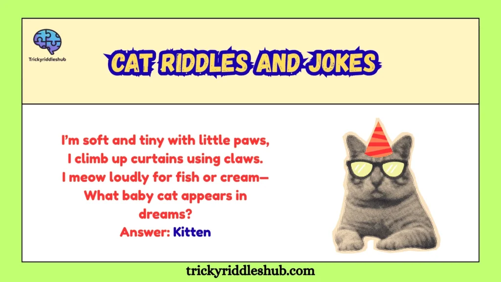 Cat Riddles and Jokes