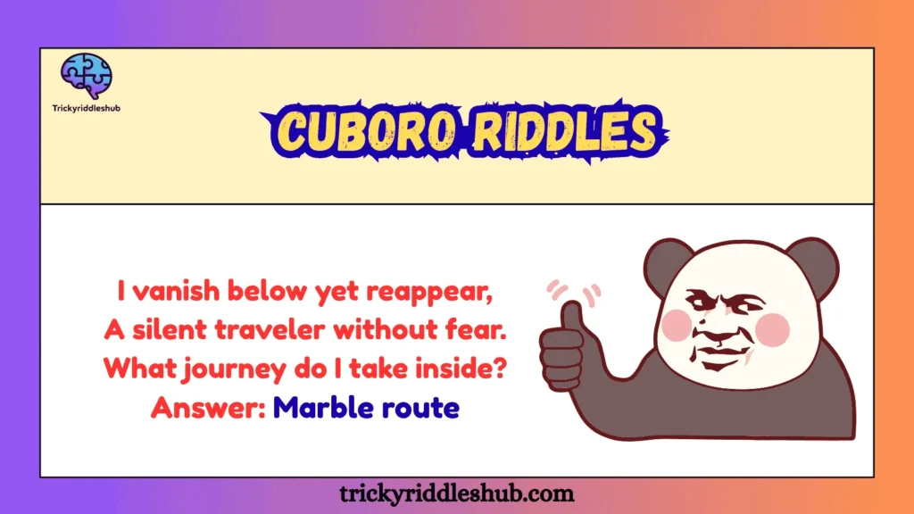 Cuboro Riddles