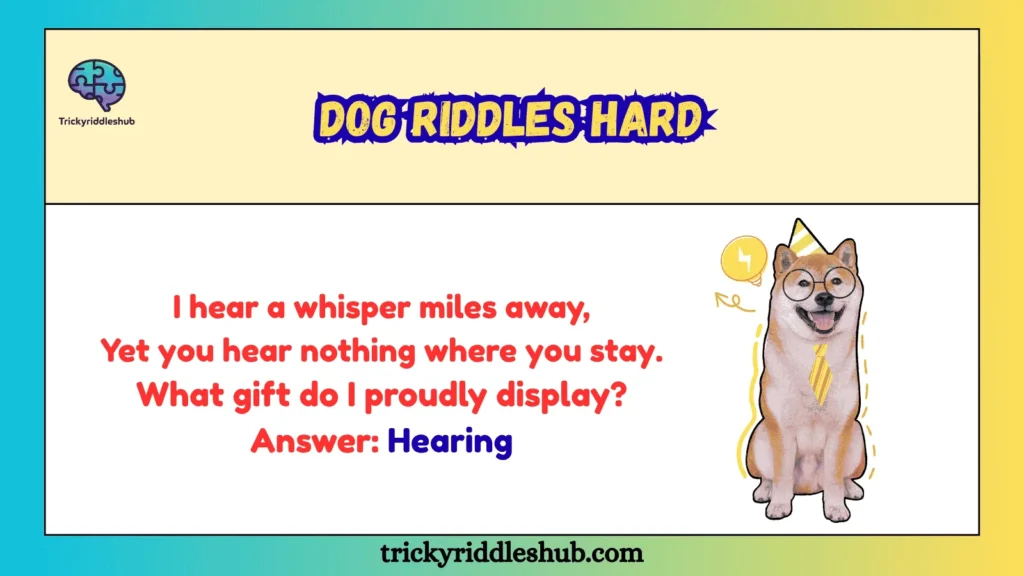 Dog riddles hard