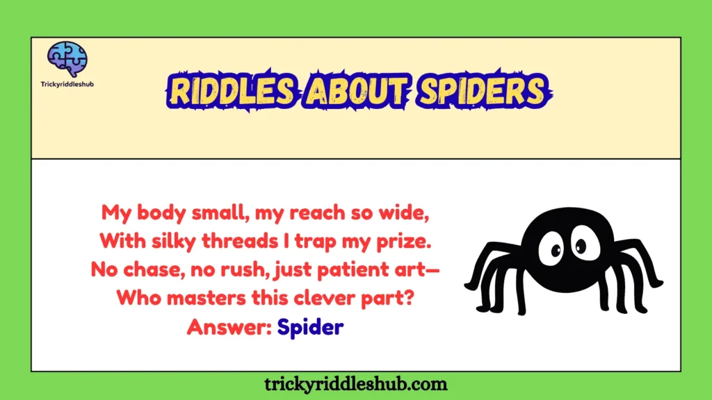 Riddles About Spiders