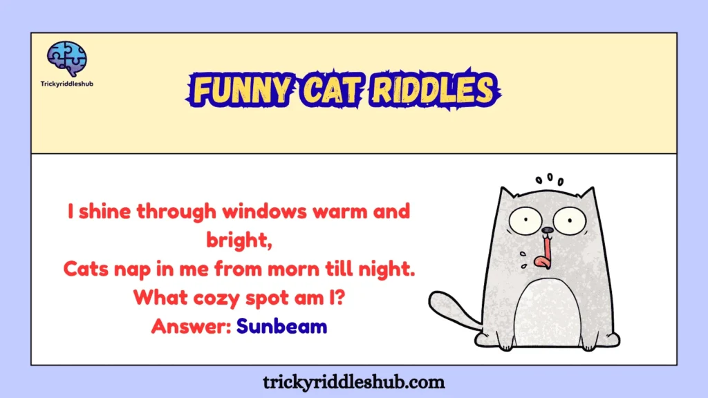 Funny Cat Riddles