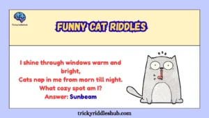 Funny Cat Riddles