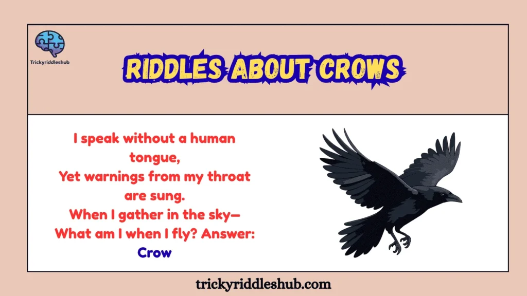 Riddles About Crows