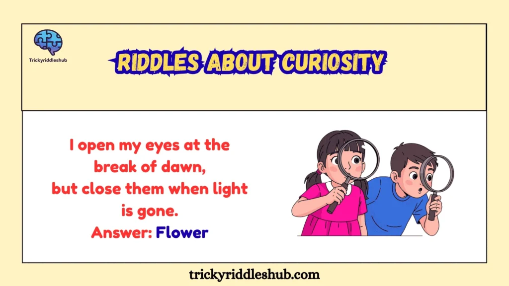Riddles About Curiosity