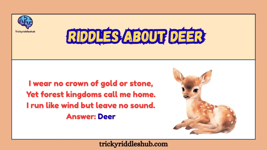 Riddles About Deer