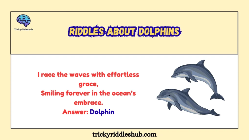 Riddles About Dolphins