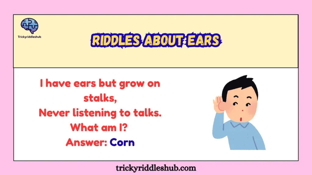 riddles about ears
