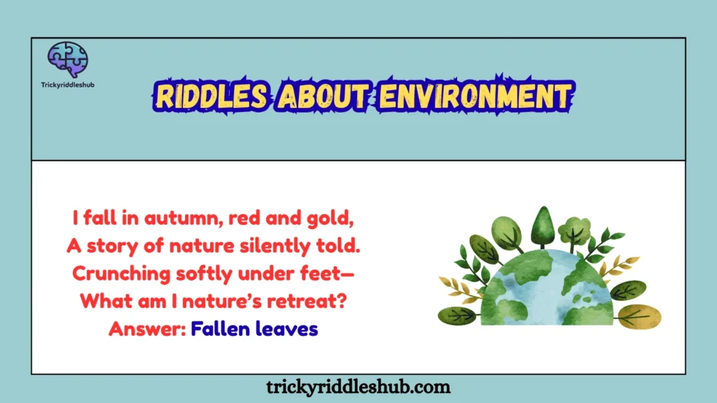 riddles about environment