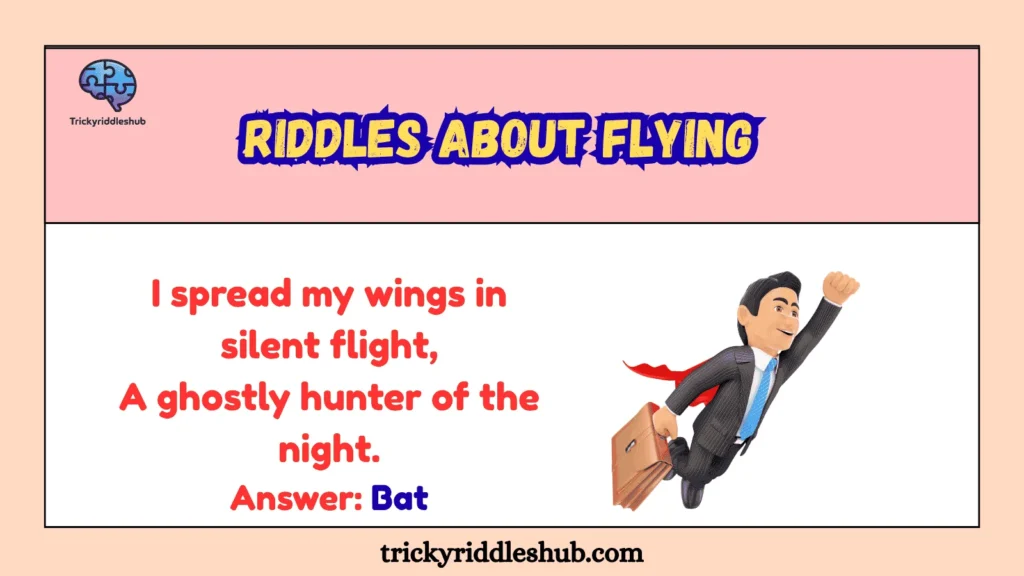 Riddles About Flying