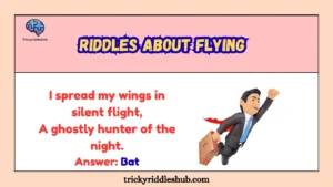 Riddles About Flying