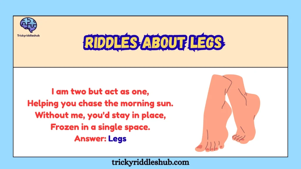Riddles About Legs