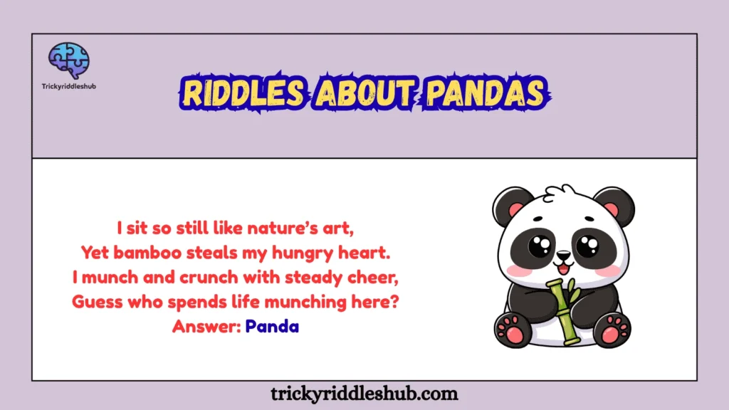 Riddles About Pandas