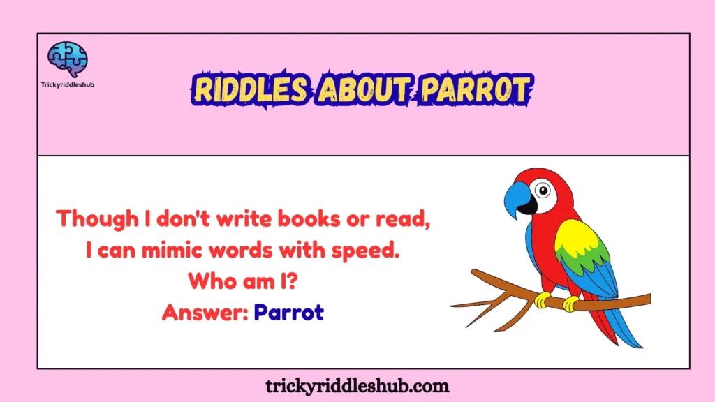 riddles about parrot