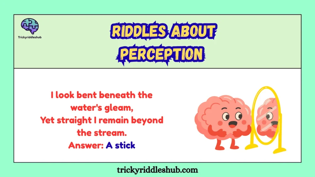Riddles About Perception