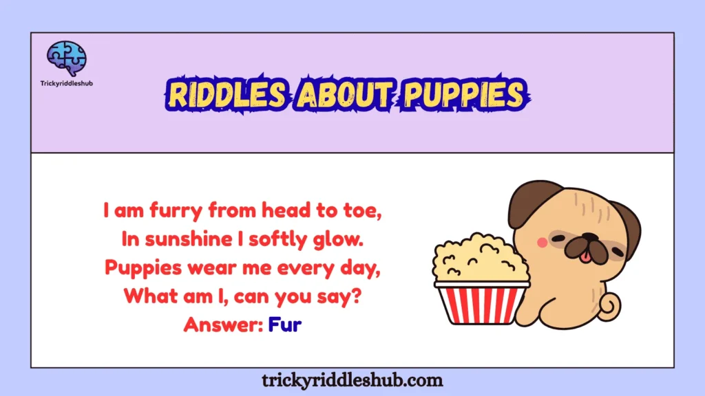 Riddles About Puppies