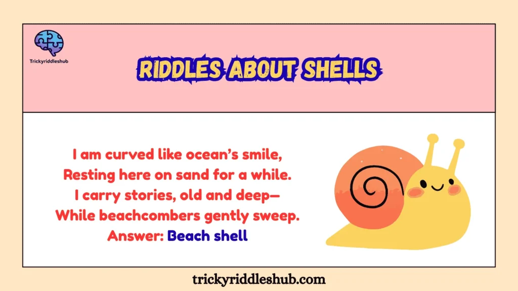 Riddles about shells