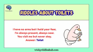 Riddles about toilets