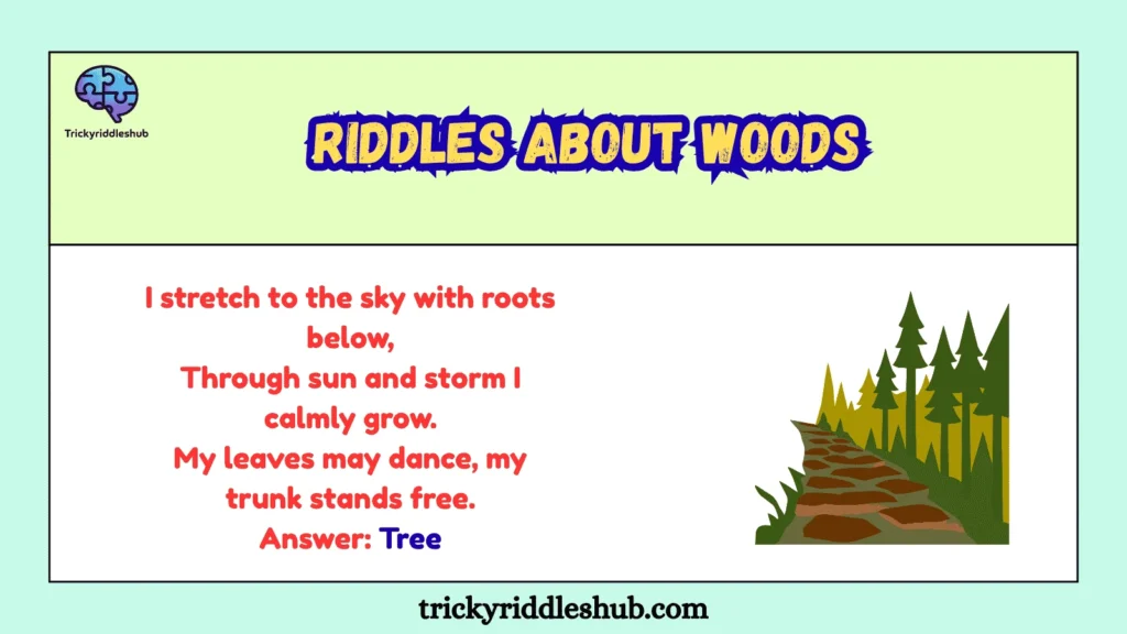 Riddles About Woods