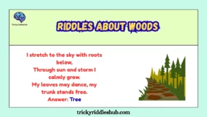 Riddles About Woods